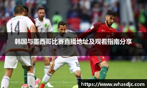 zoty中欧韩国与墨西哥比赛直播地址及观看指南分享